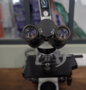 Analyseur clinique Urban Vet