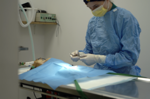 Chirurgie clinique Urban Vet