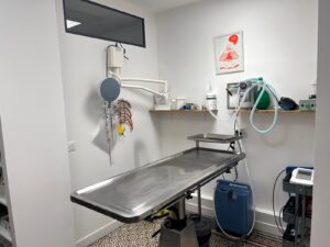 Salle de chirurgie clinique vétérinaire Urban Vet
