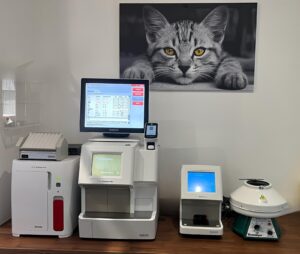 Analyses médicales clinique vétérinaire Urban Vet Paris